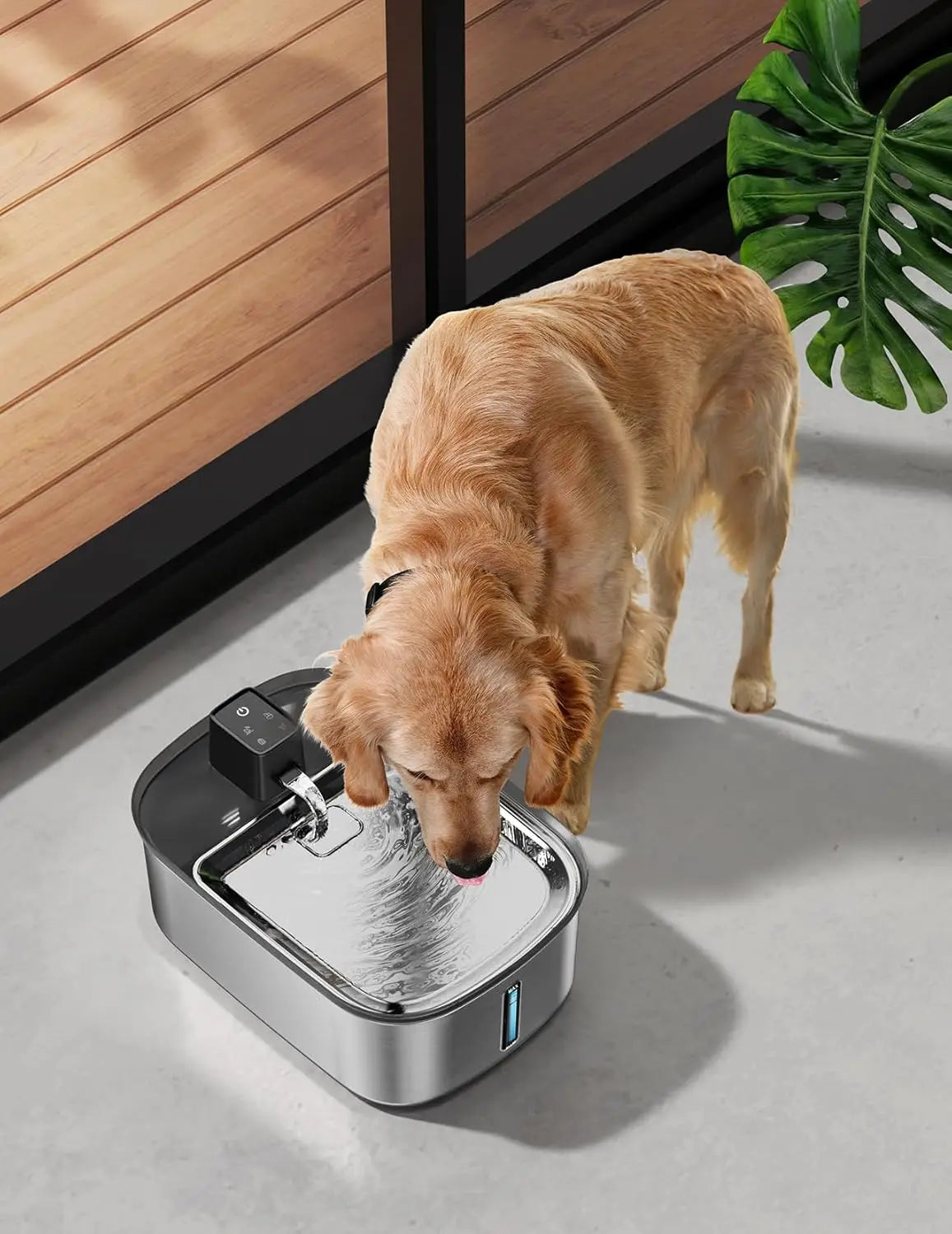 Large Dog Water Fountain With Motion Sensor Stainless Steel