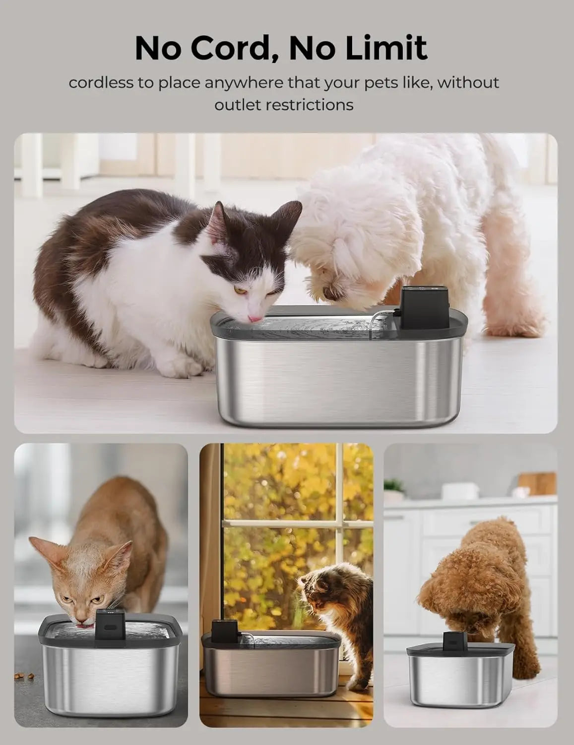 Large Dog Water Fountain With Motion Sensor Stainless Steel