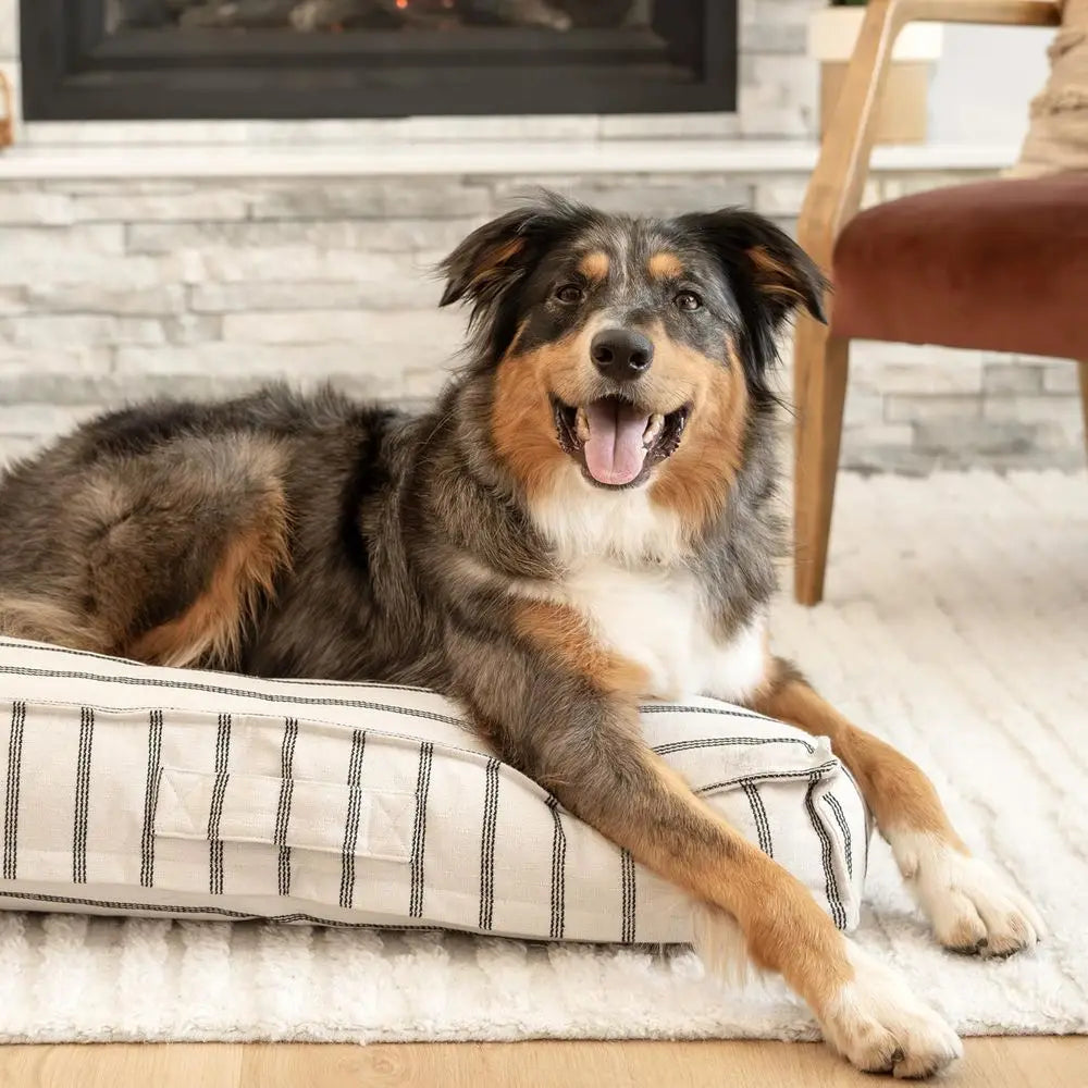 Striped Pillow Dog Bed, Luxury Washable Pet Bed with Recycled ill, Sot Square Cushion Bed or Medium Dogs & Cats, Cream & Black